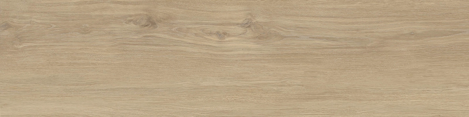 ELXR3012BS ASRM 30x120