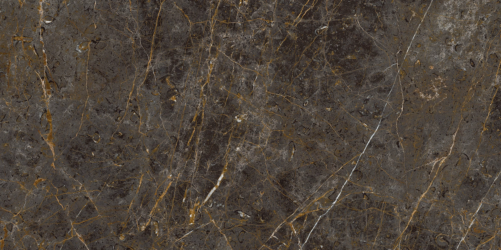 AE GOL6 12 RM 60x120