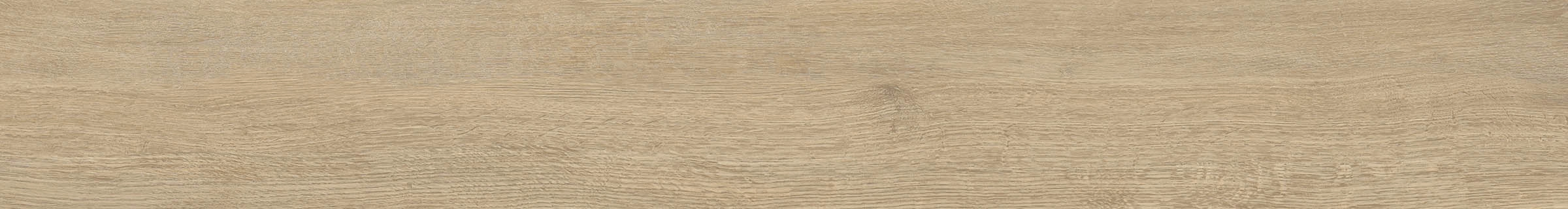 ELXR6 2015BS RM 20x150