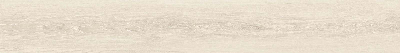 ELXR6 2015PA RM 20x150