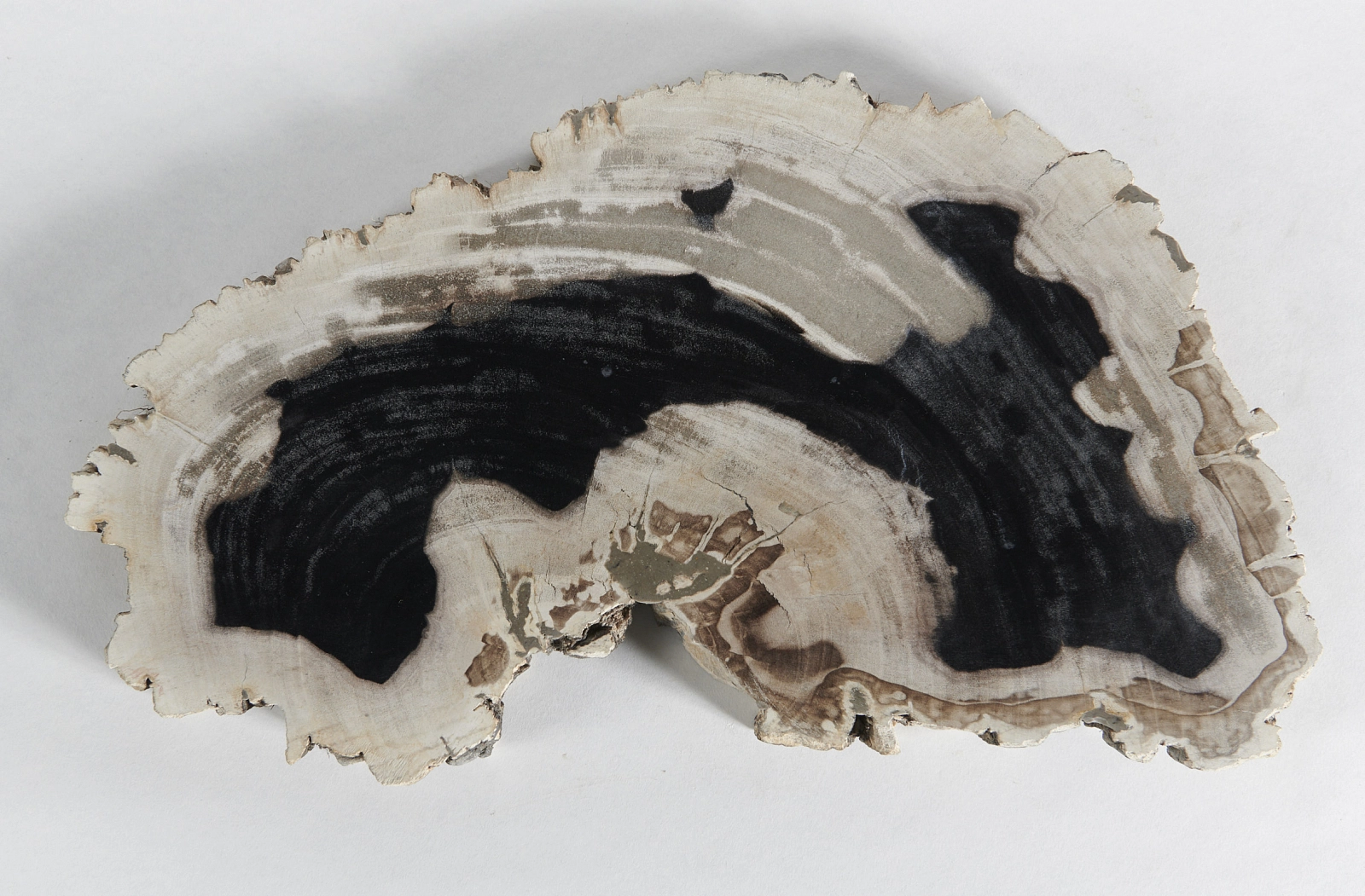 Декоративное блюдо 3P1RNB-71 51х30х3