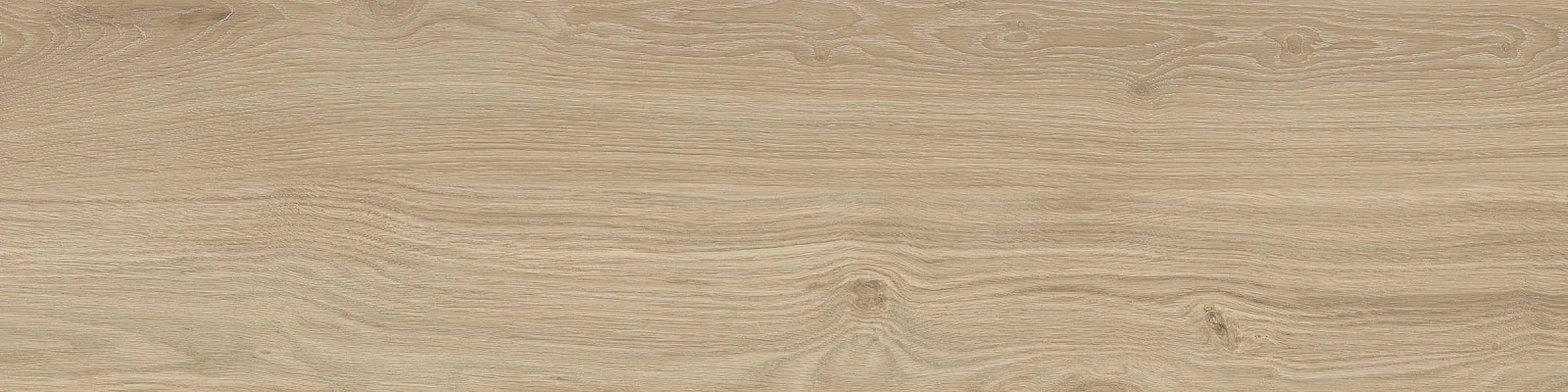 ELXR3012BS ASRM 30x120