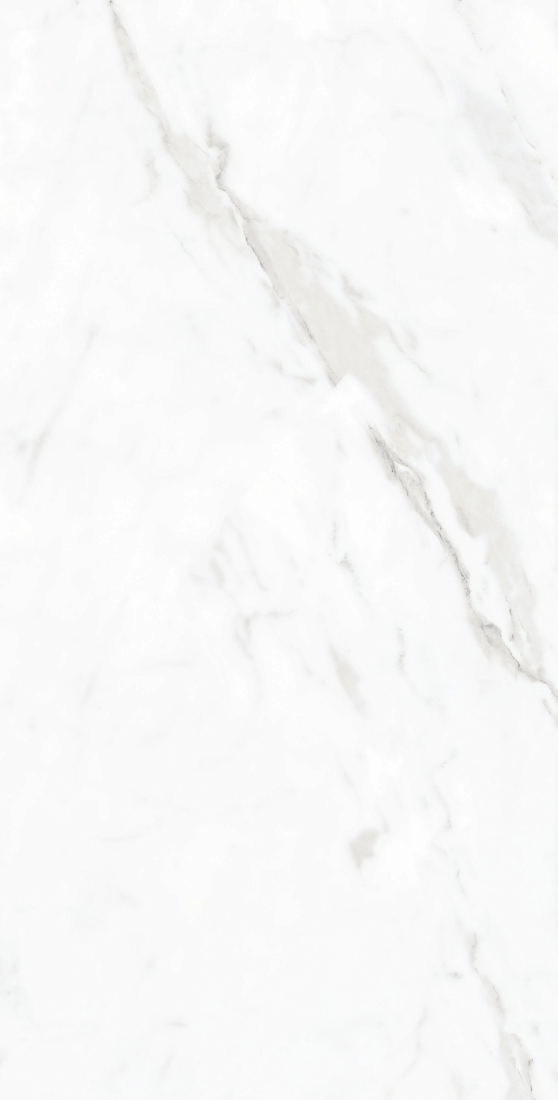 Calacatta Matt 9697 60x120