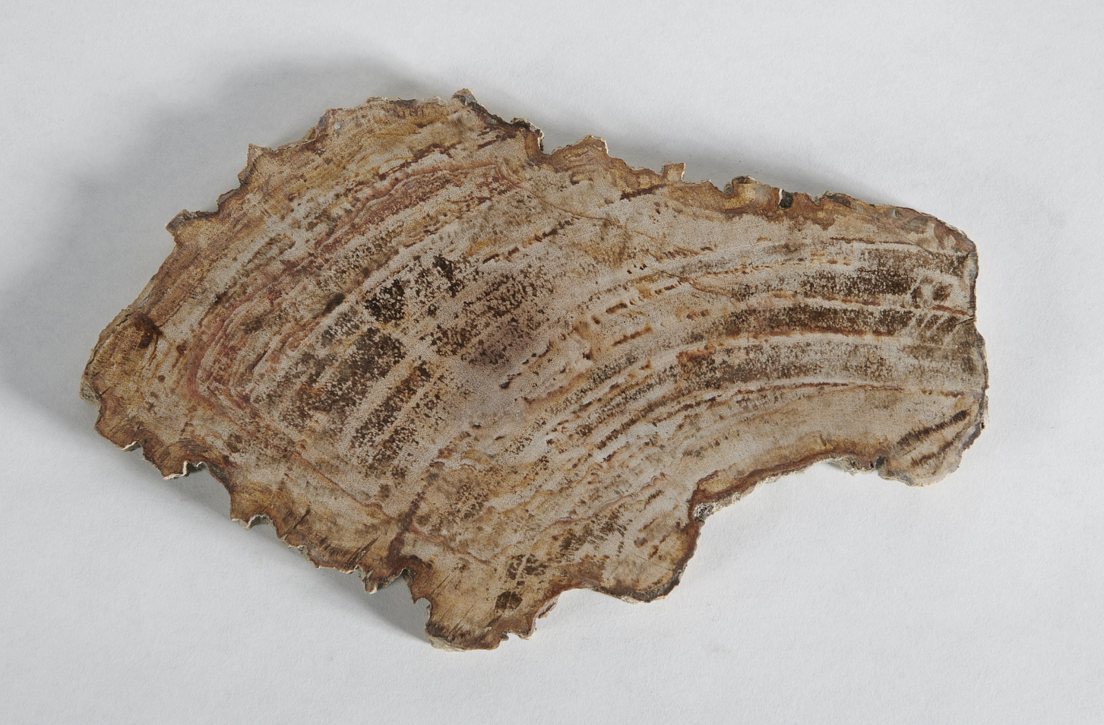 Декоративное блюдо 3P1RNM-04 30х20х2