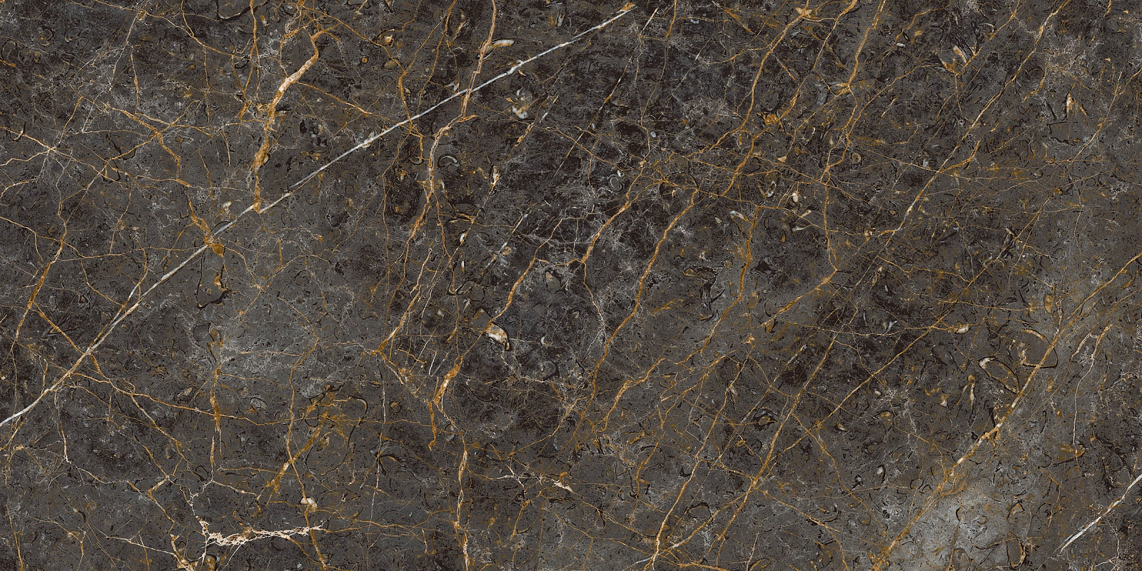 AE GOL6 12 RM 60x120