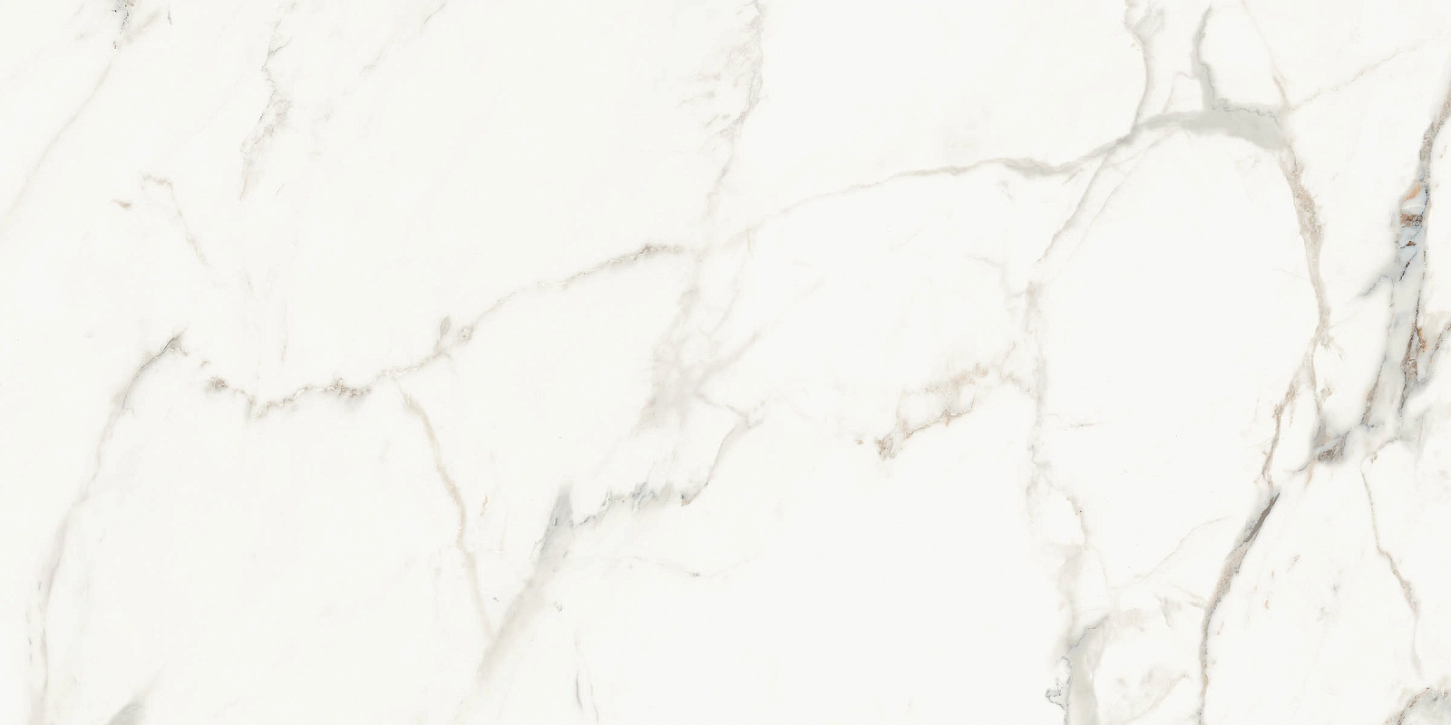 AE CAP6 12 LP 60x120