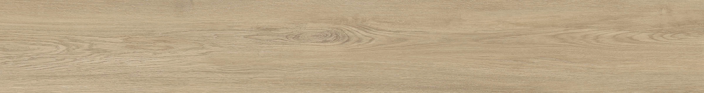 ELXR6 2015BS RM 20x150