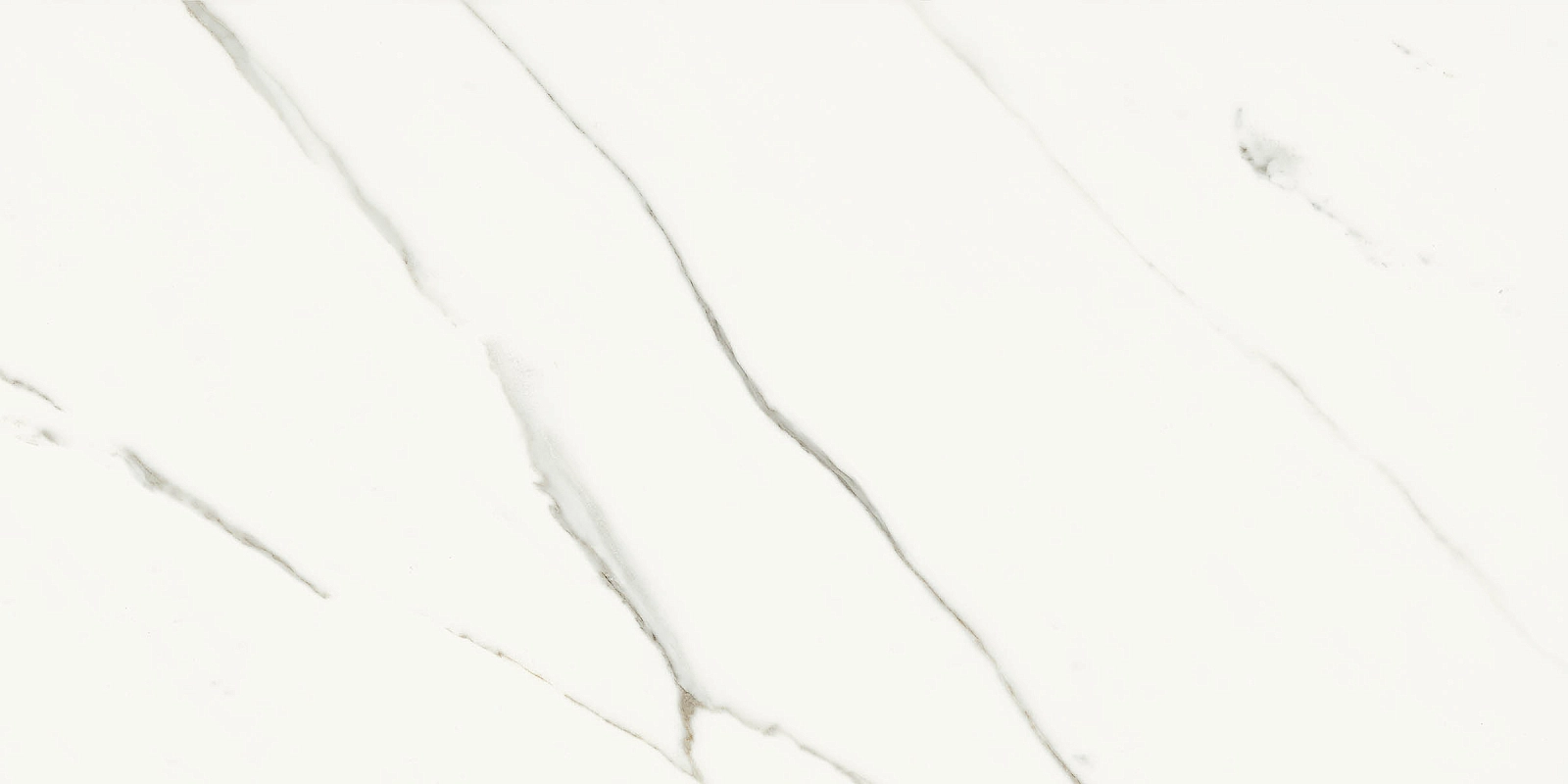 AE EXT6 12 RM 60x120