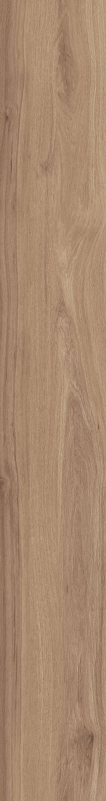 DAMA6 2015NO RM 20x150