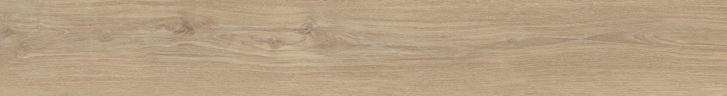 ELXR6 2015BS RM 20x150