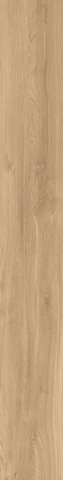 DAMA6 2015HY RM 20x150