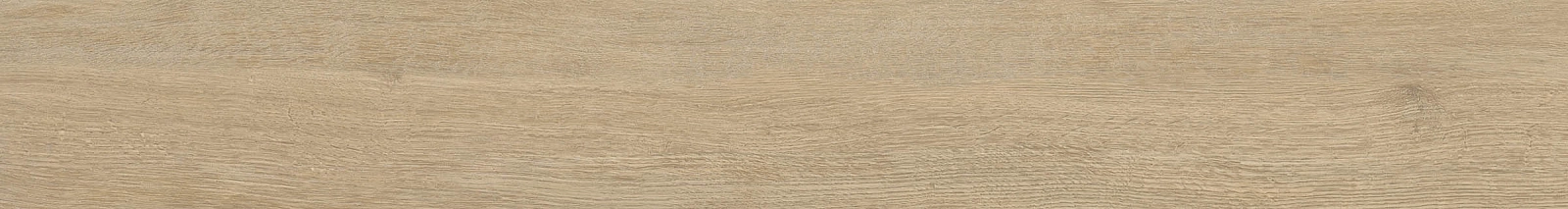 ELXR6 2015BS RM 20x150