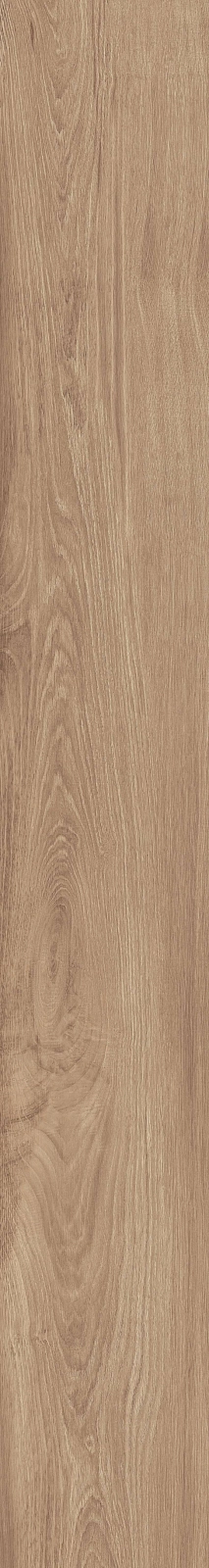 DAMA6 2015NO RM 20x150