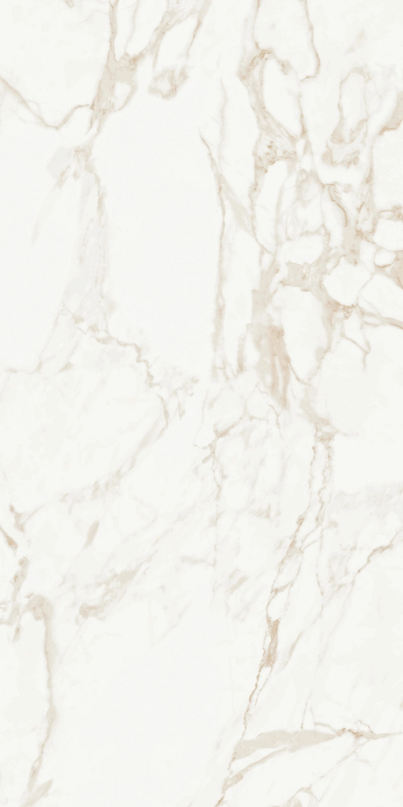 Marmo Calacatta Polished 9128 60x120