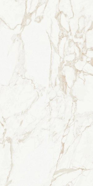 Marmo Calacatta Polished