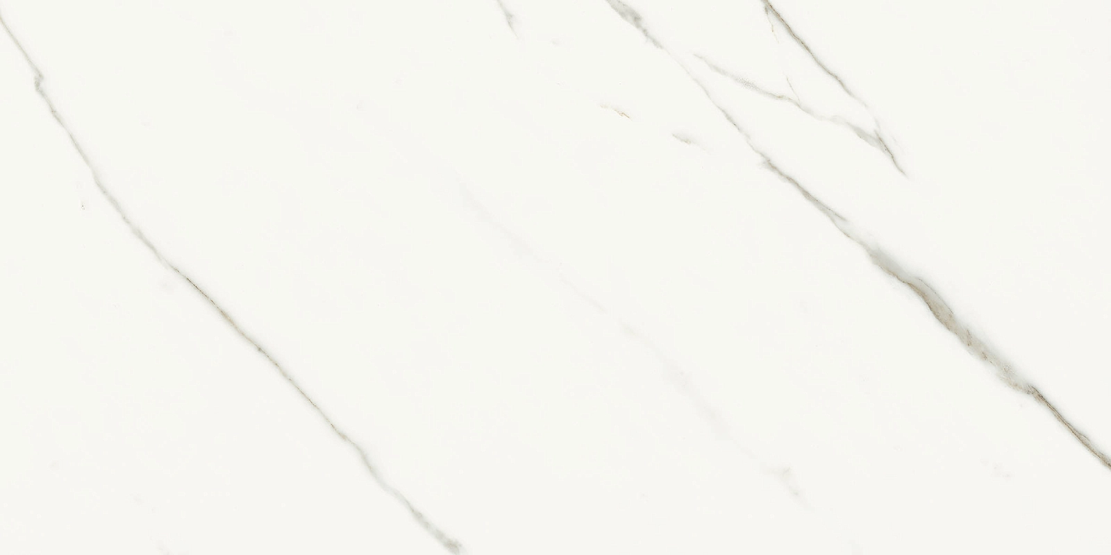 AE EXT6 12 LP 60x120