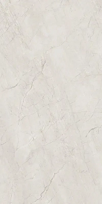 Sahara Light Gray 8138 60х120 