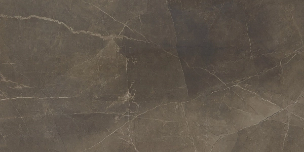AMANI MARBLE BROWN POLISHED 60Х120