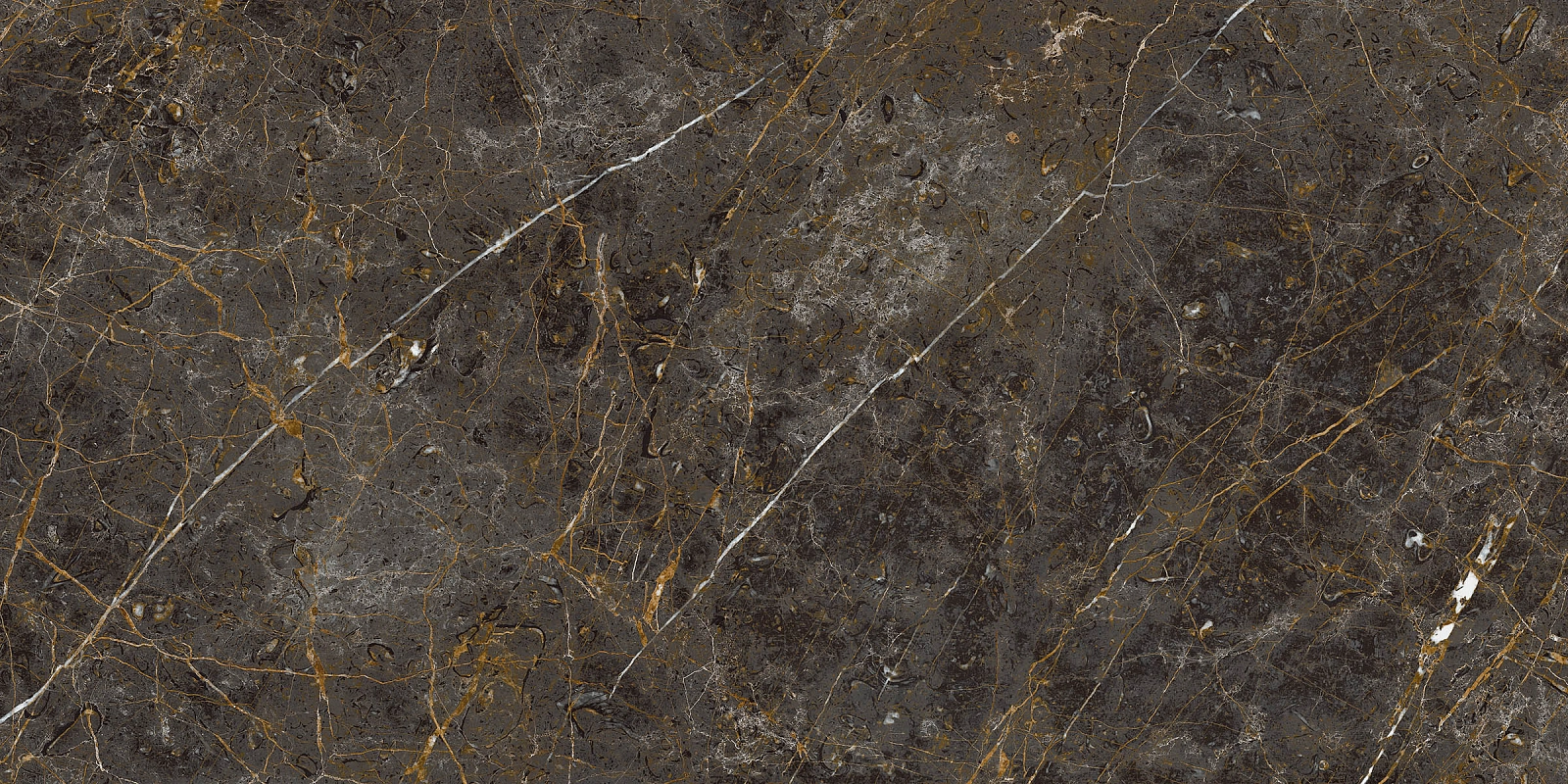 AE GOL6 12 RM 60x120