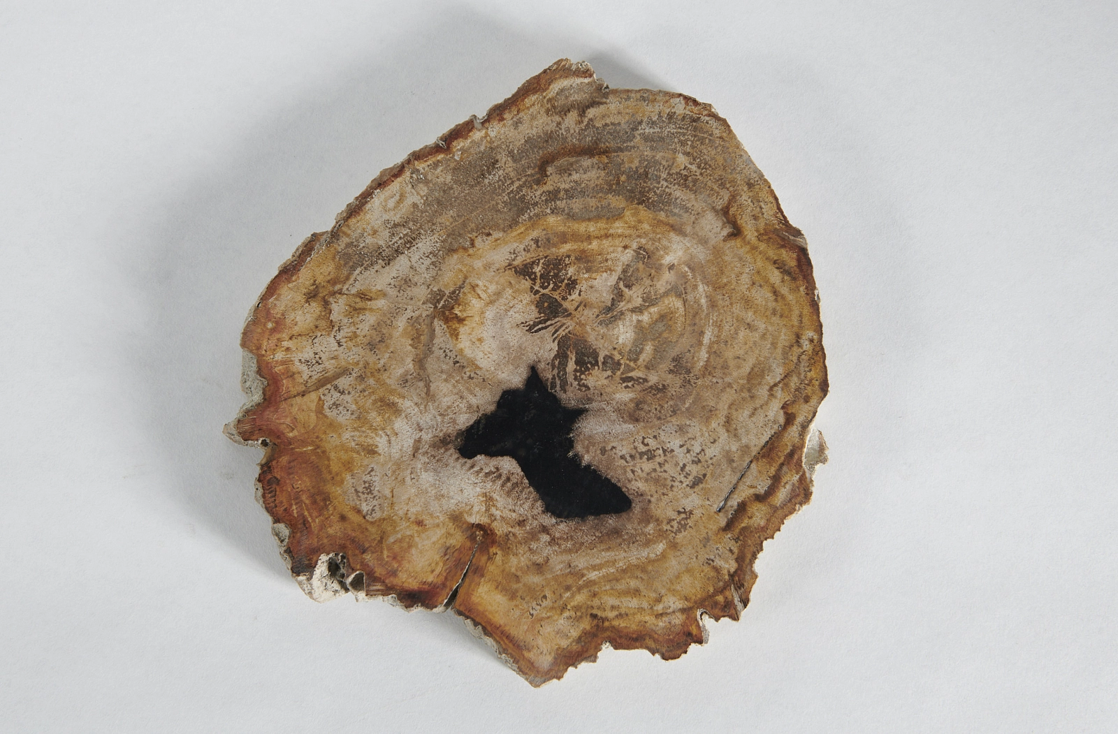 Декоративное блюдо 3P1RNM-05 22х22х2