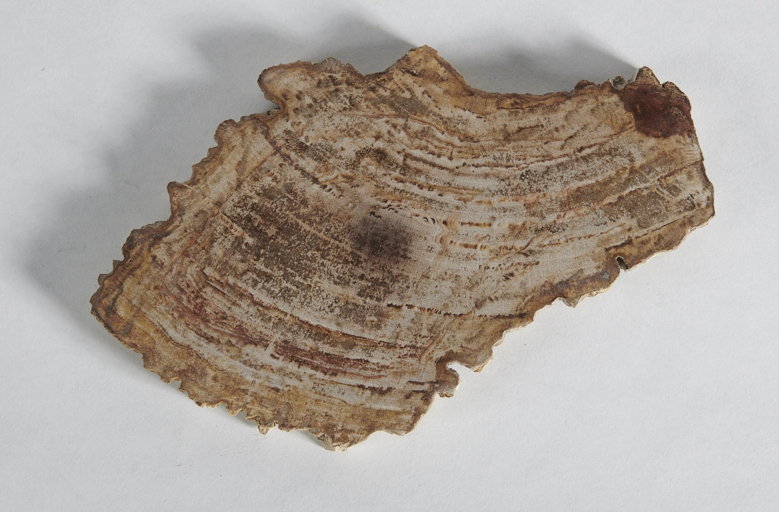 Декоративное блюдо 3P1RNM-22 30х19х2