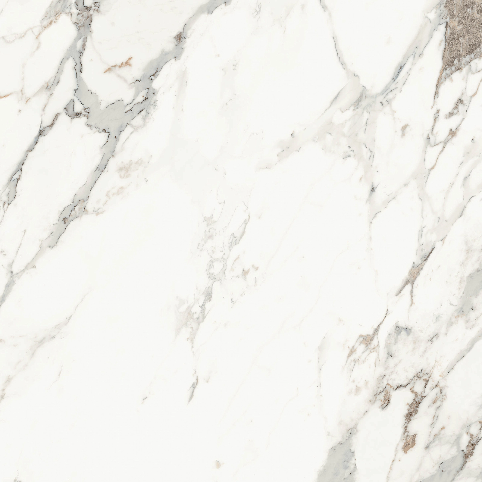 AE CAP6 120 LP 120x120