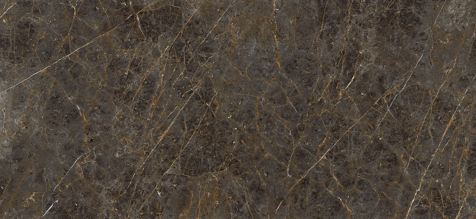 AE GOL6 260 LP 120x260