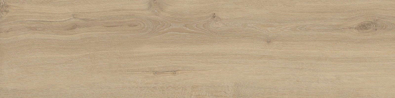 ELXR3012BS ASRM 30x120