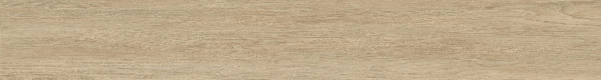 ELXR6 2015BS RM 20x150