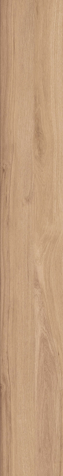 DAMA6 2015BS RM 20x150