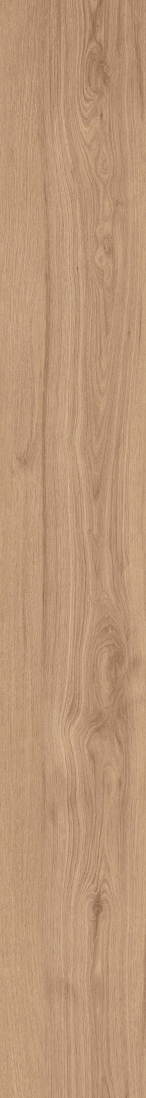 DAMA6 2015BS RM 20x150