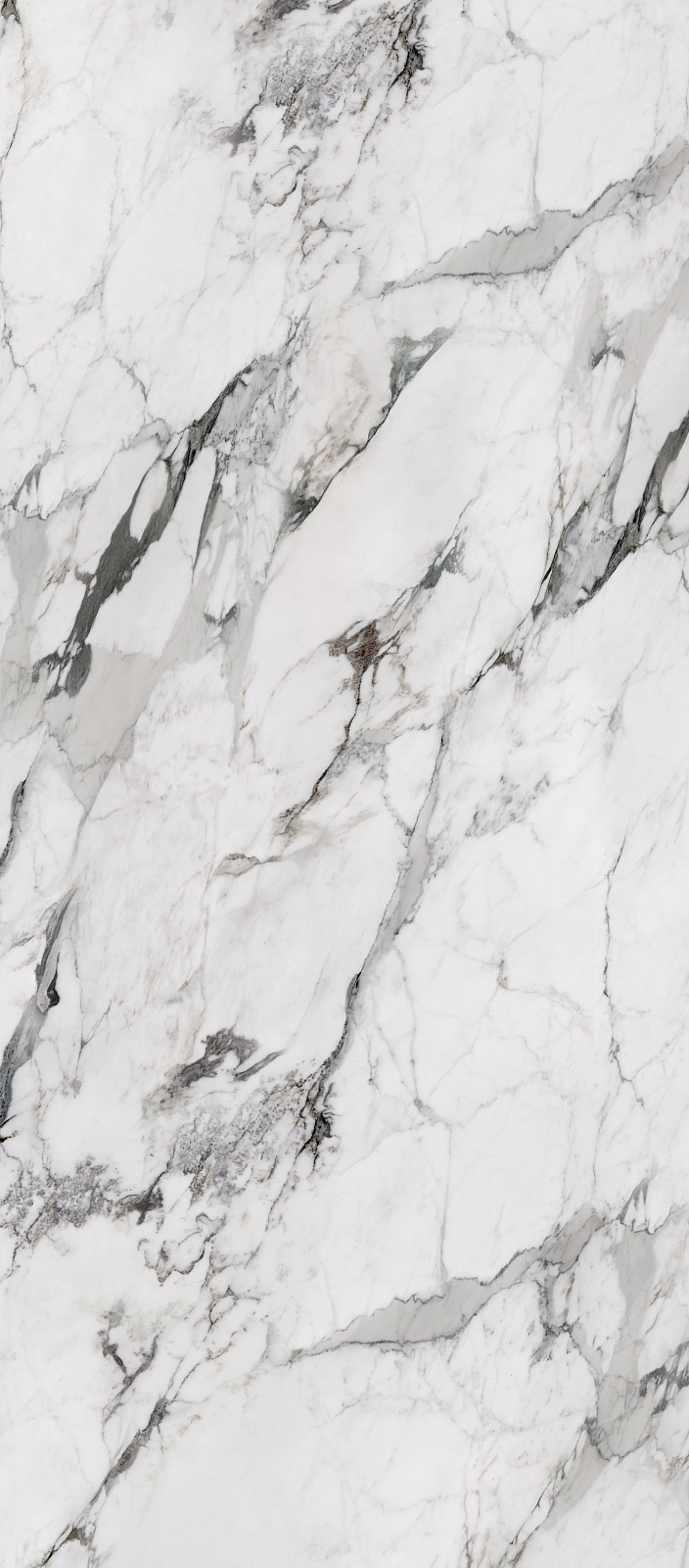 72100 Arabescato Matt 120x240