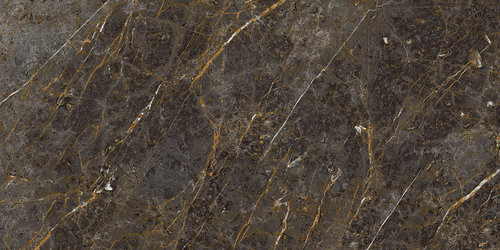 AE GOL6 12 RM 60x120