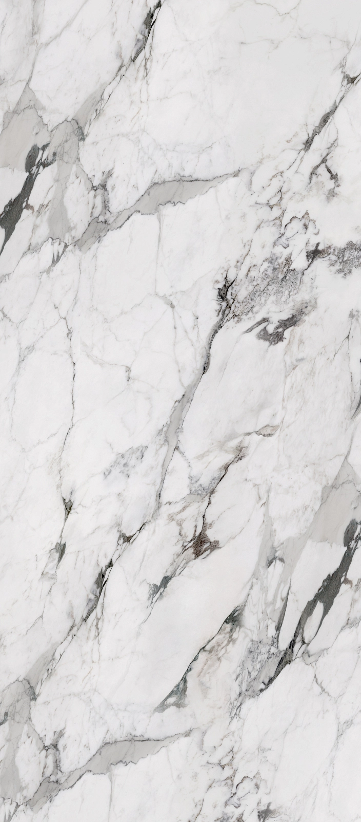 72100 Arabescato Matt 120x240