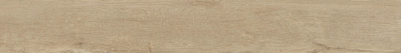 ELXR6 2015BS RM 20x150