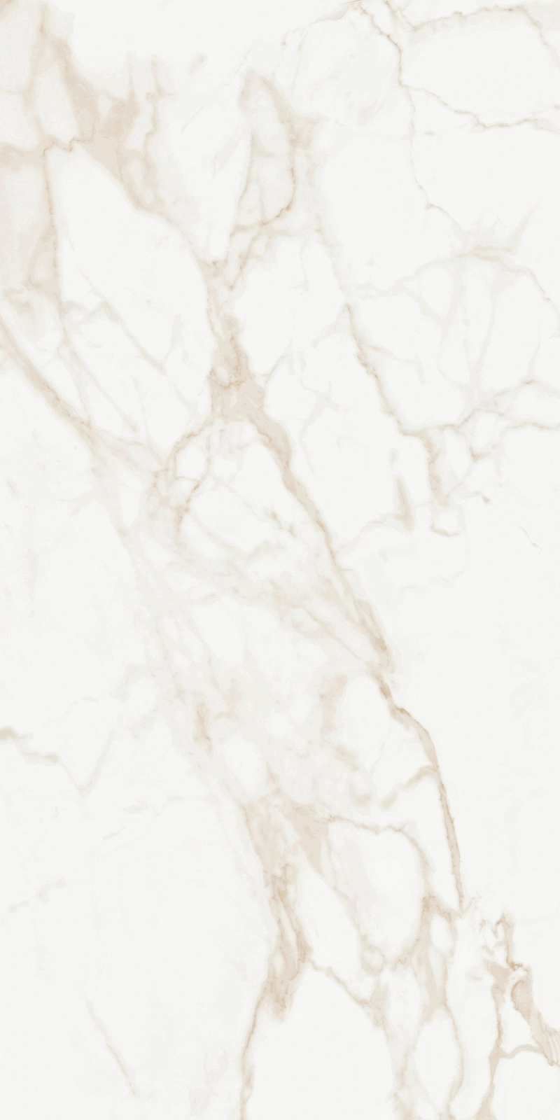 Marmo Calacatta Matt 9133 60x120