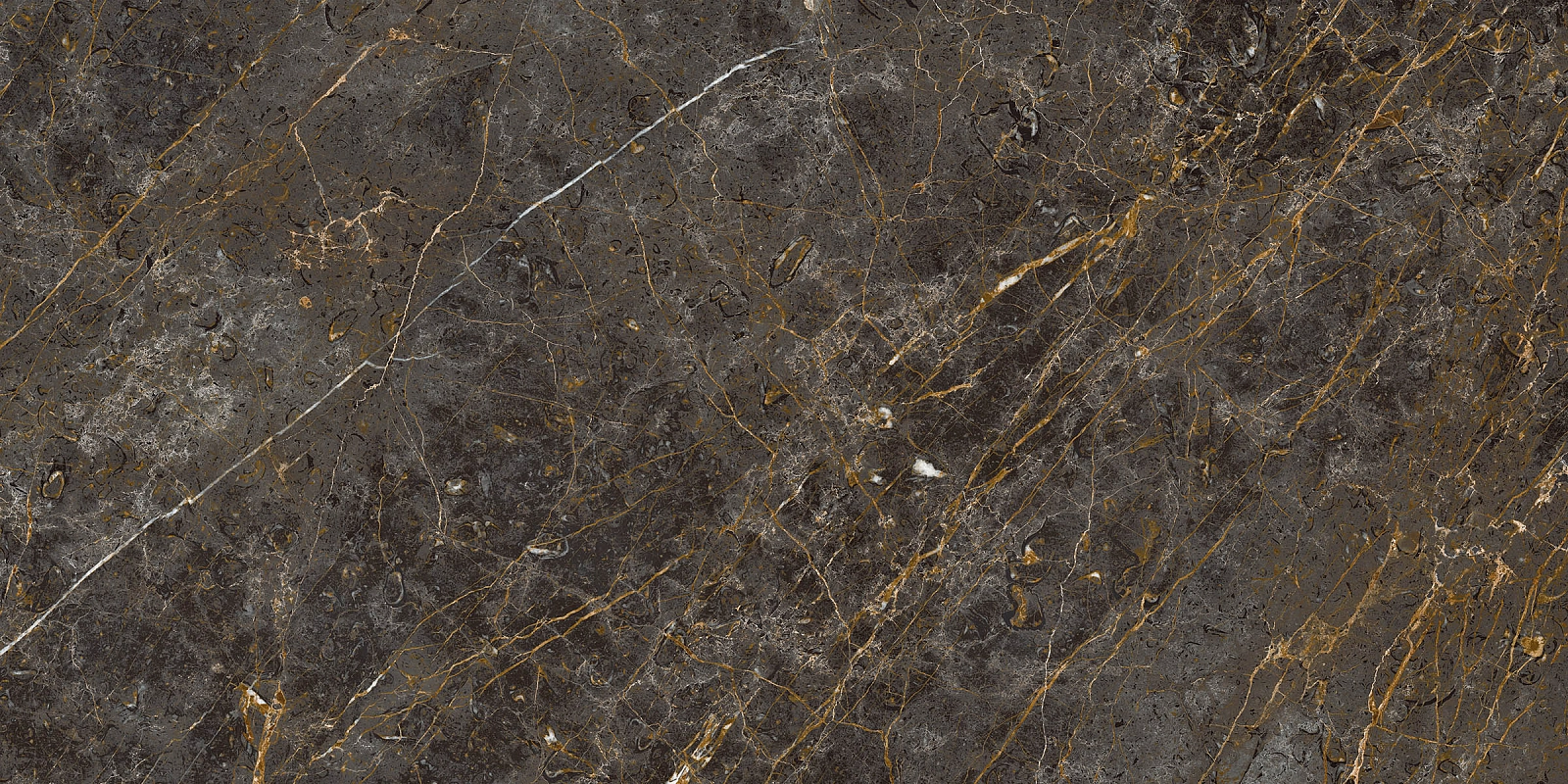 AE GOL6 12 RM 60x120