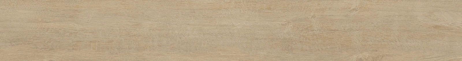 ELXR6 2015BS RM 20x150