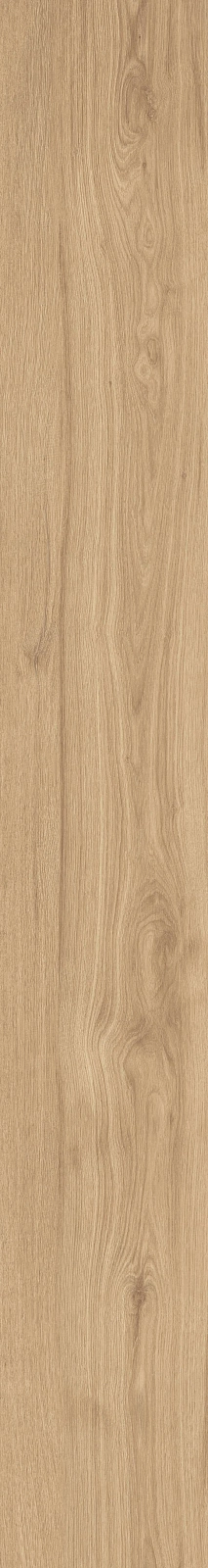 DAMA6 2015HY RM 20x150