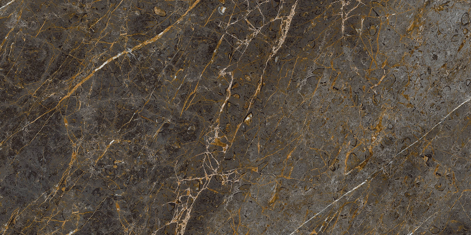 AE GOL6 12 RM 60x120