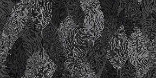 XILEMA6 12 60x120