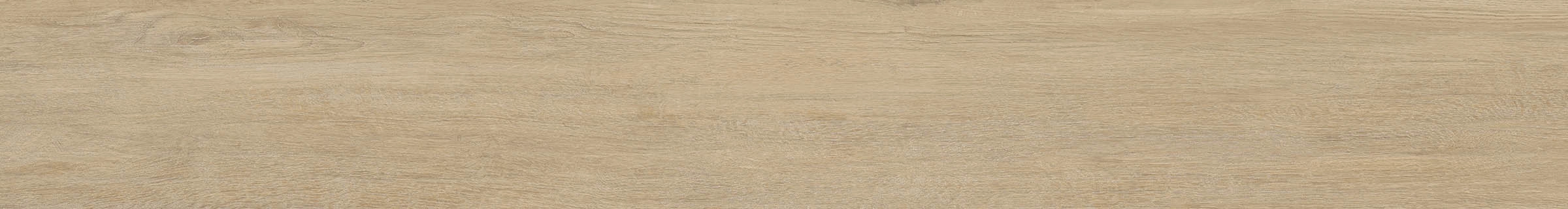 ELXR6 2015BS RM 20x150