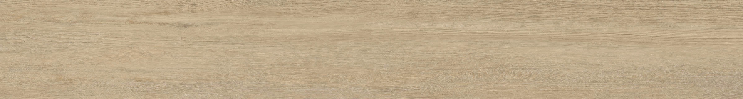 ELXR6 2015BS RM 20x150