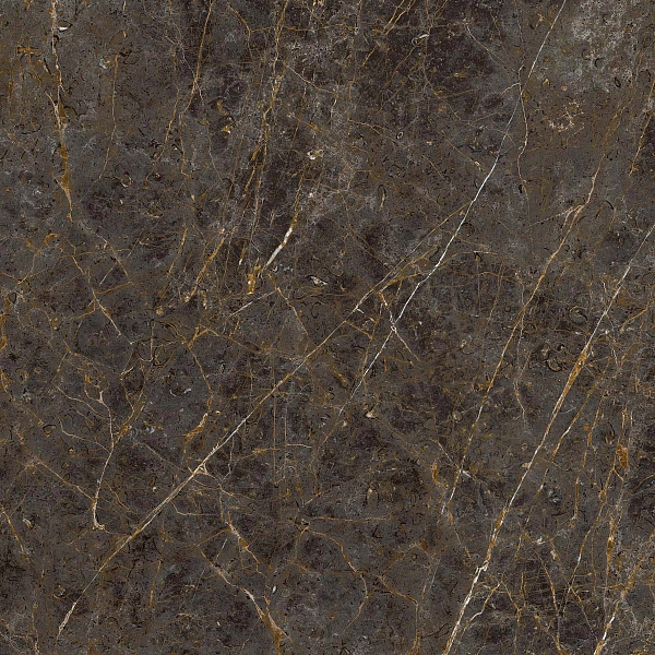AE GOL6 120 LP 120x120