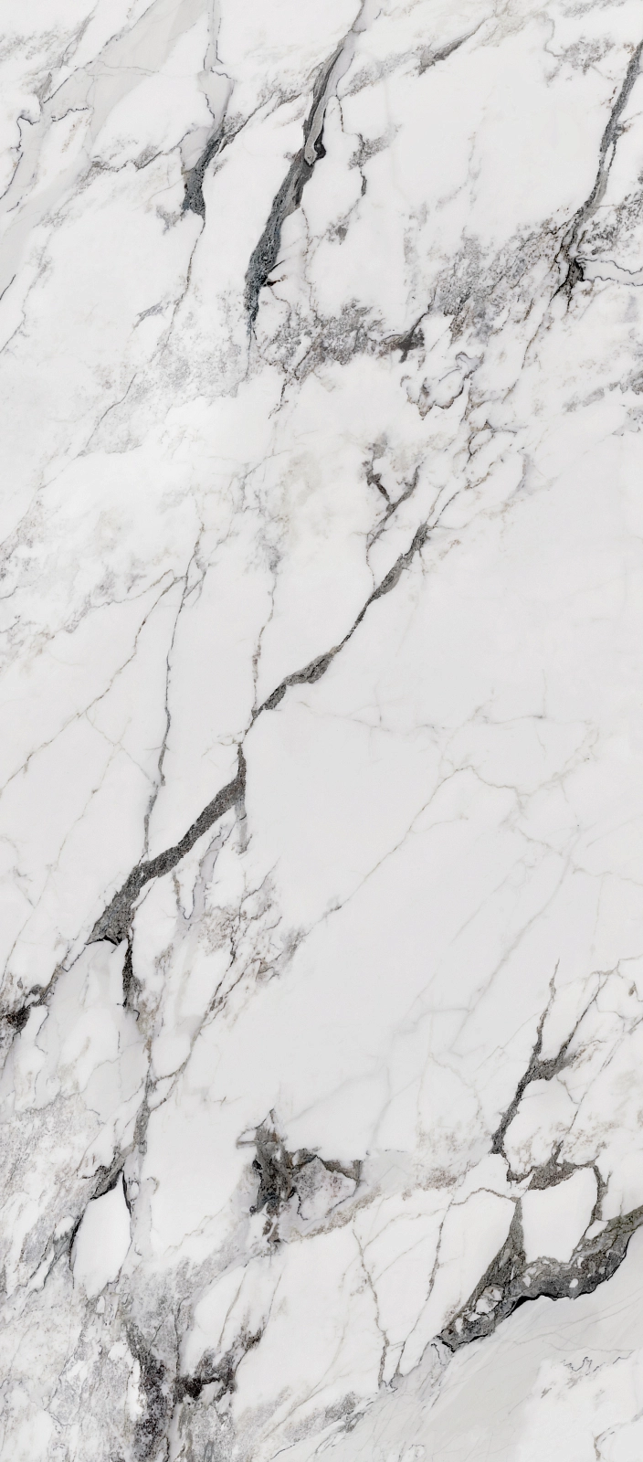 72100 Arabescato Matt 120x240